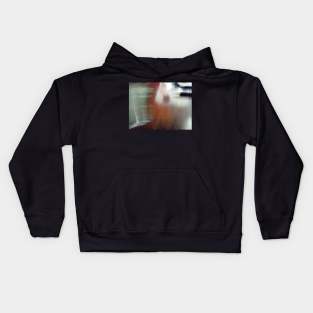 Opacity Kids Hoodie